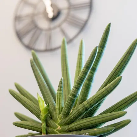 Koala House Bed & Breakfast